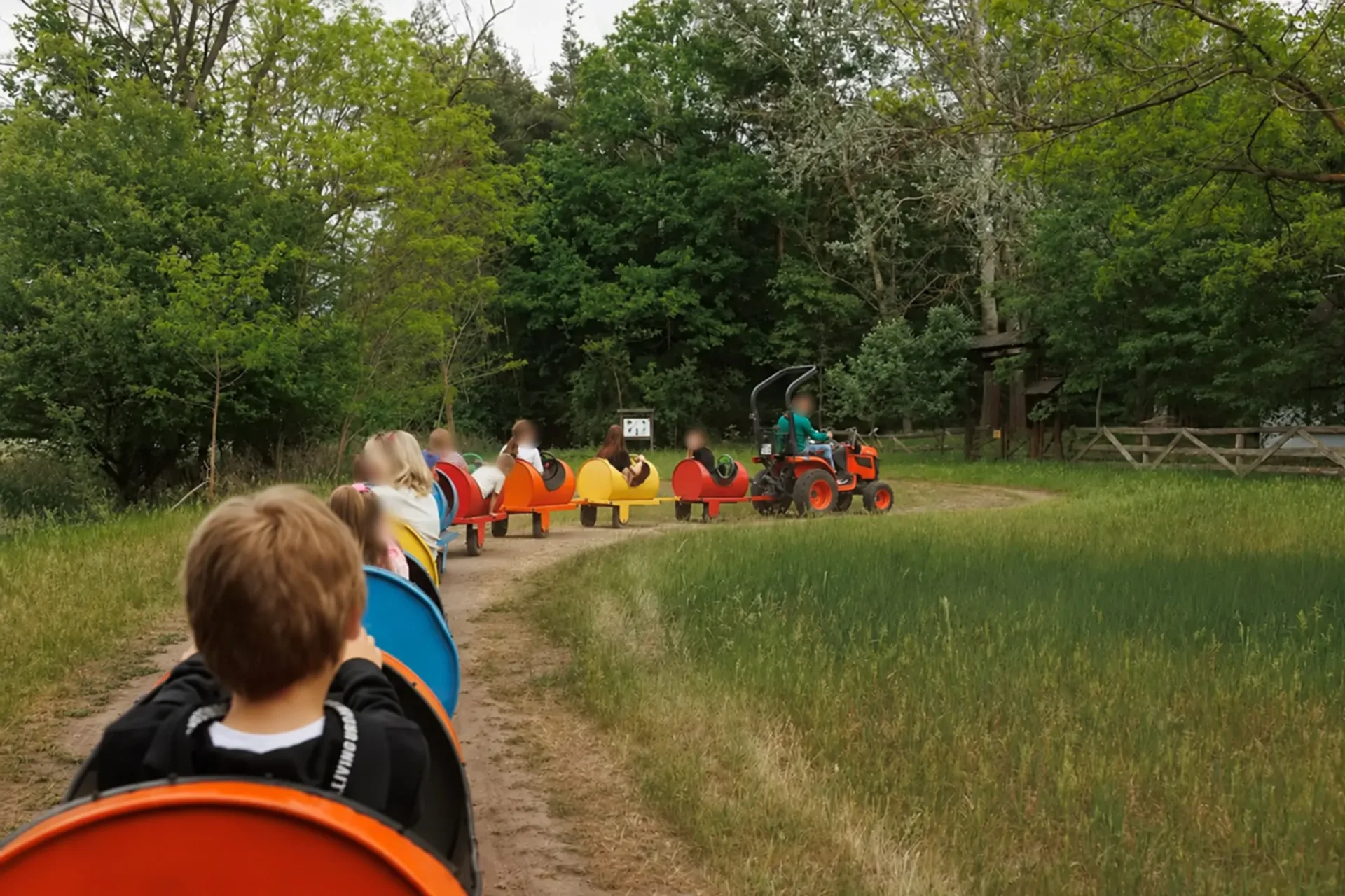 Dzieci w wagonikach na wycieczce w Stajni u Kowala
