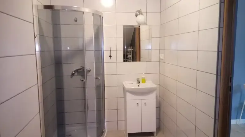 Łazienka z prysznicem i umywalką